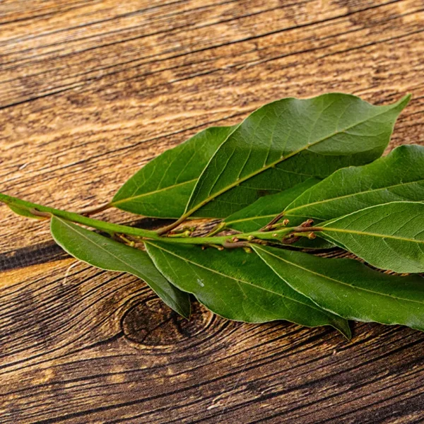 White Tea Tree Extract
